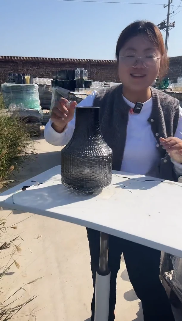 花瓶客厅餐桌插花装饰好物