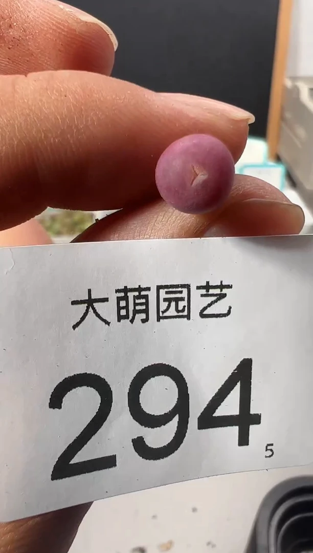 【闪购商品】++++294