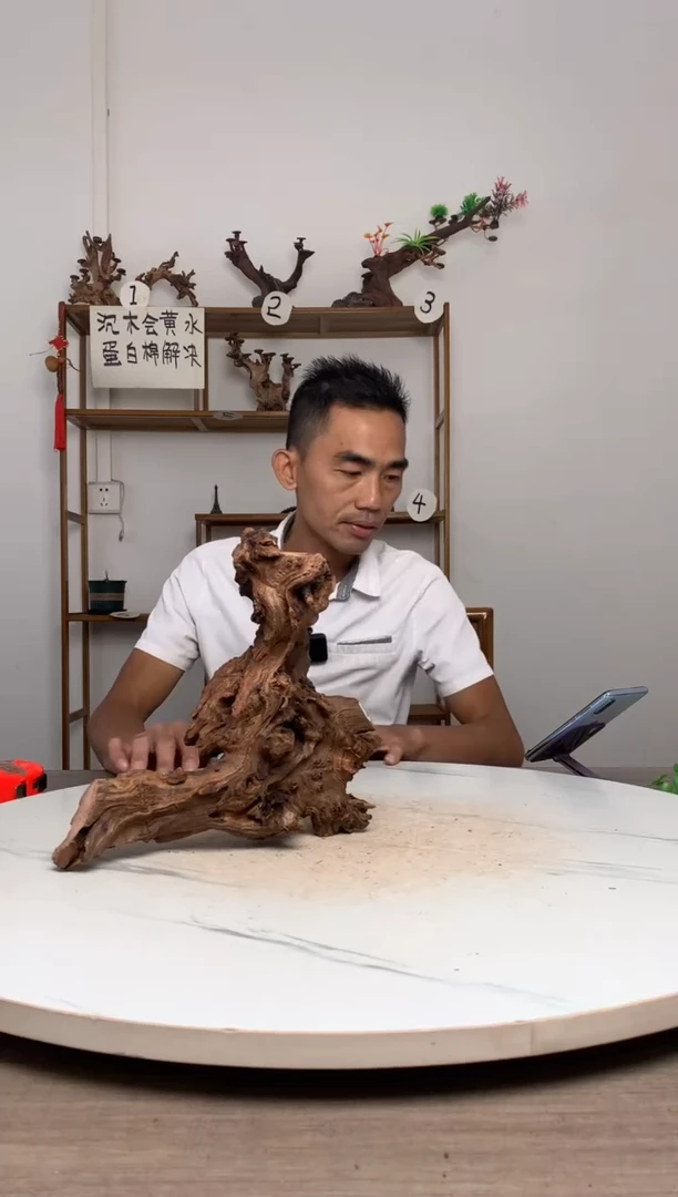 爆**子鱼缸造景沉木摆件