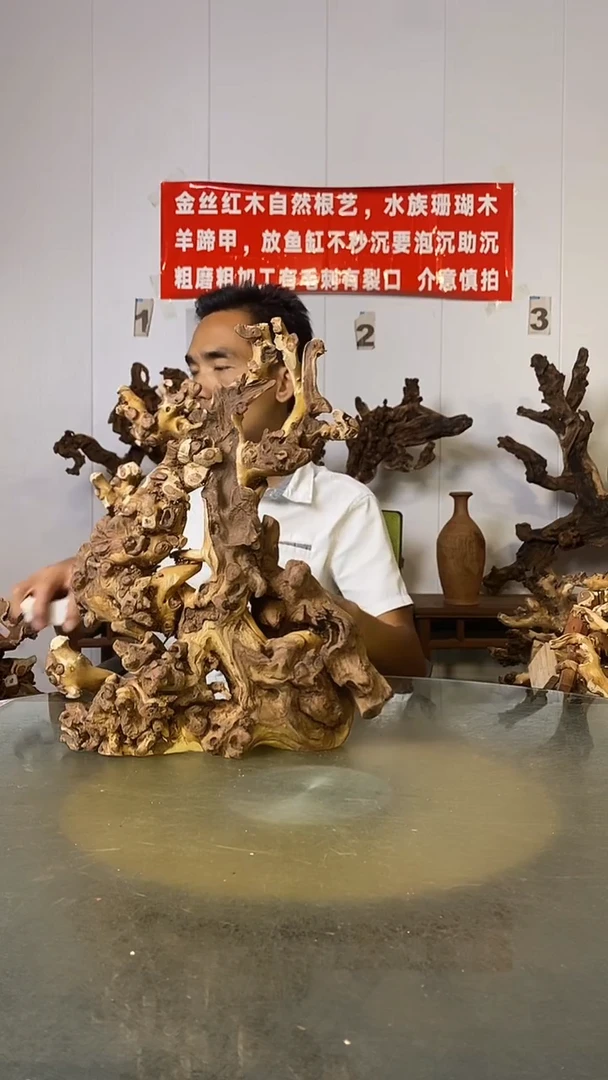 香榧木雄***?金丝红木   羊蹄甲