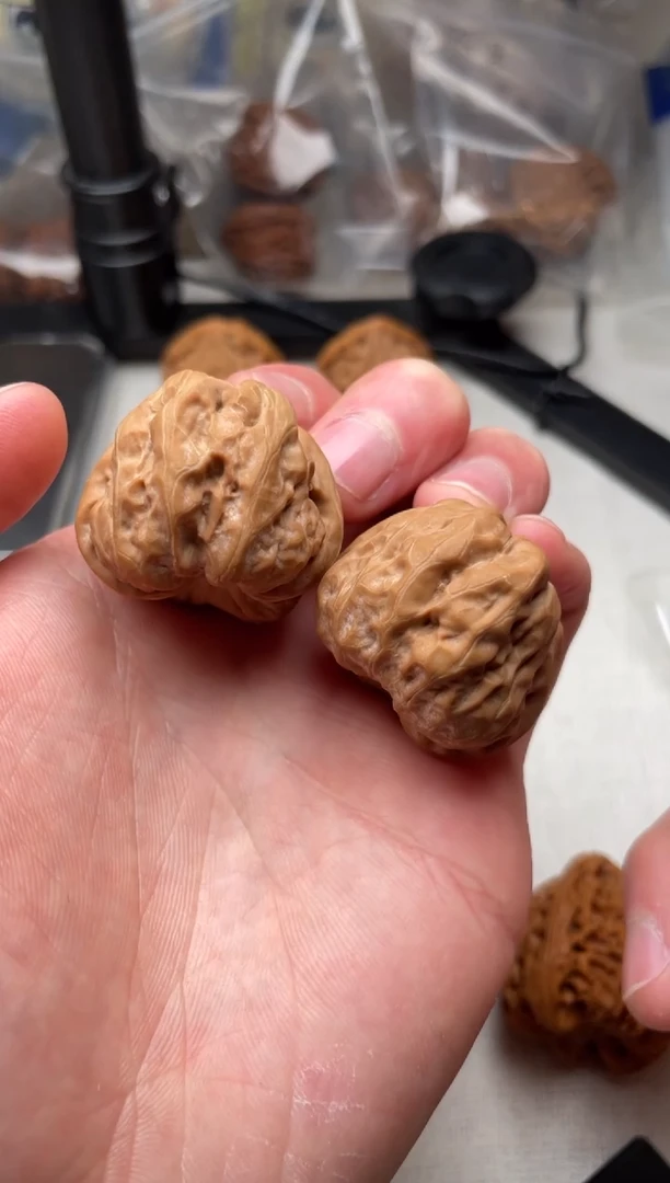 吊坠文玩核桃小蛤蟆