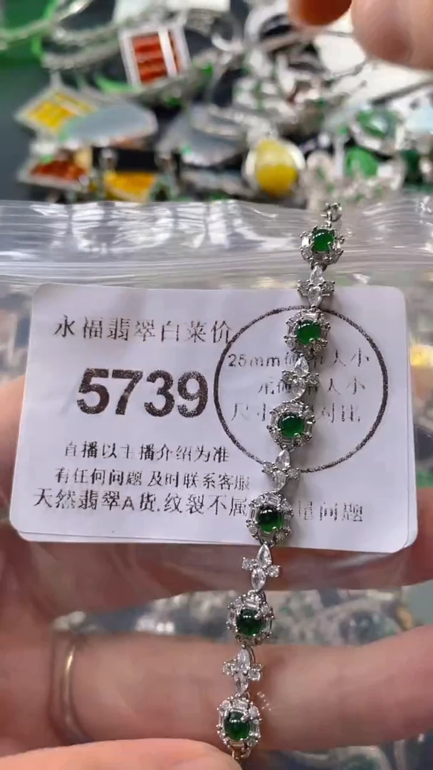 翡翠未镶嵌吊坠(不含链)5739