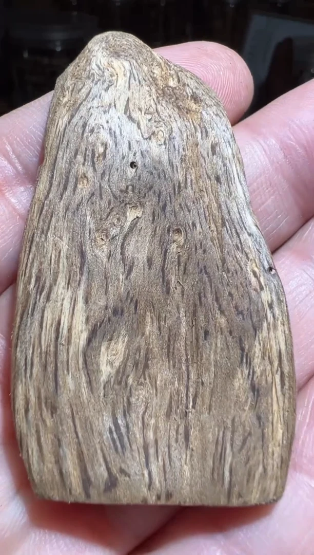 沉香碎屑沉香莱特4.5克