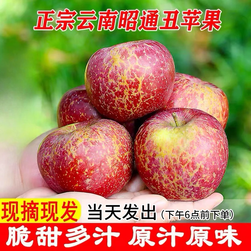 云南正宗红露红富士苹果昭通冰糖心丑苹果新鲜大凉山脆甜水果直发