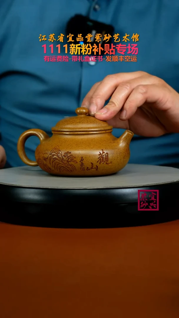 茶壶紫砂陈景明龙骨金砂柴烧观山容天280CC