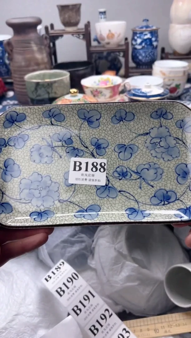 瓷片S****a    B188