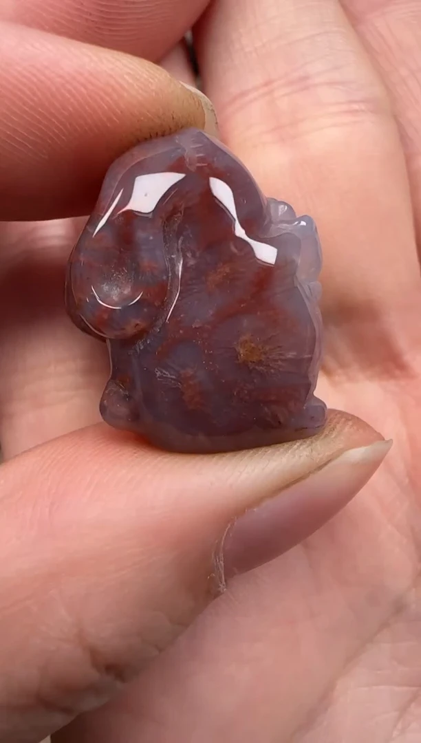 硅化珊瑚（珊瑚玉）未镶嵌颈饰355