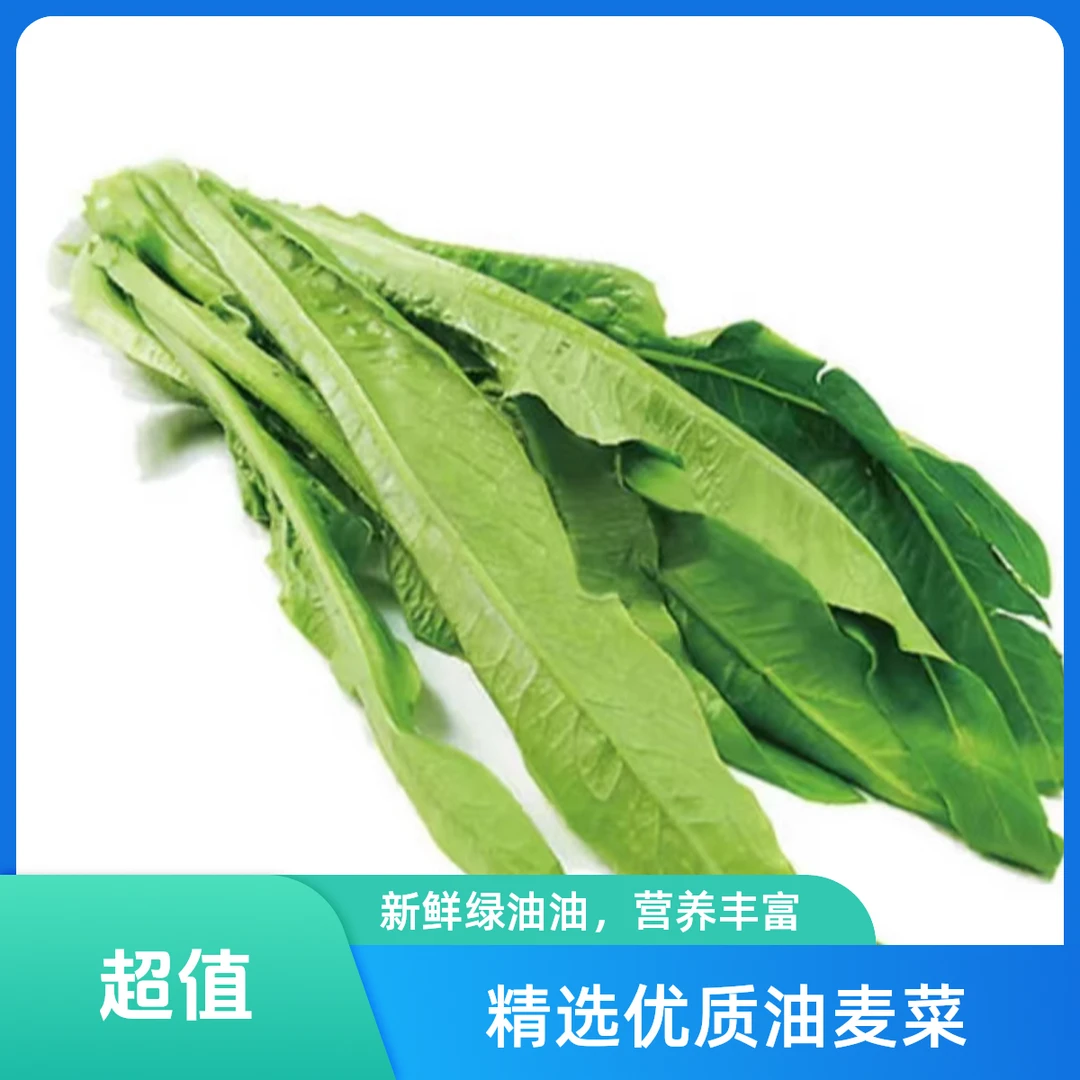 油麦菜 约（500g）
