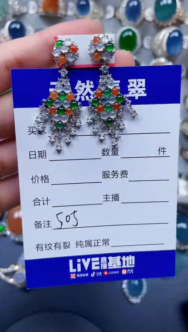 银S925镶嵌翡翠耳饰505