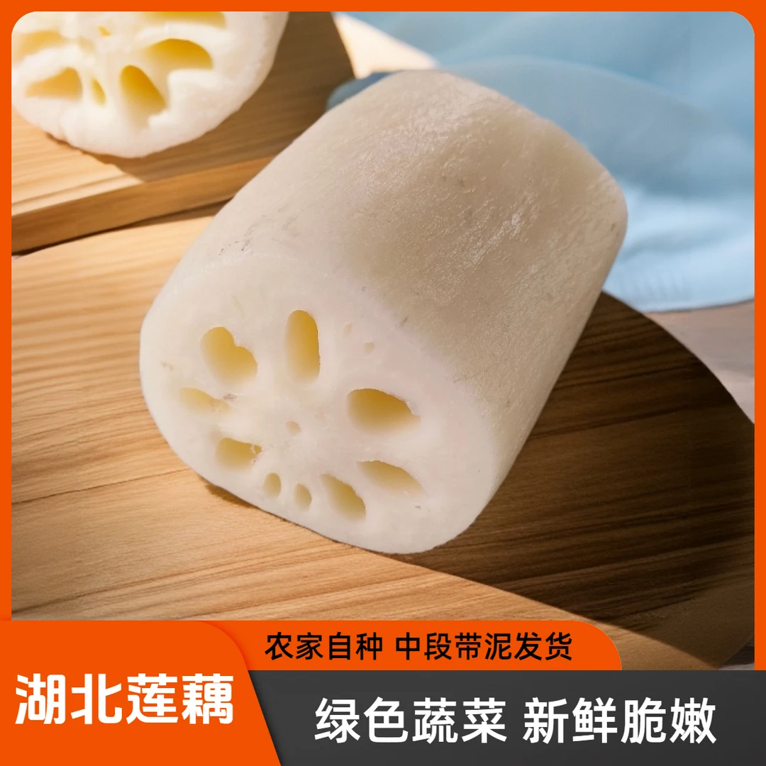 【绿色蔬菜】当季新鲜现挖九孔藕脆嫩多汁中段大藕带泥直发湖北特产