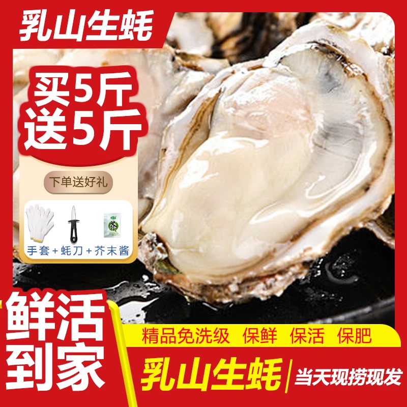 【买五斤送五斤】正宗威海乳山生蚝鲜活海蛎子生鲜大牡蛎肉冷水蚝