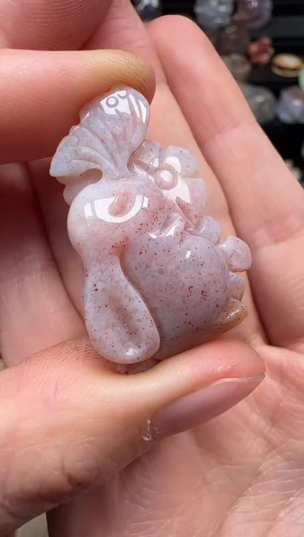 颈饰未镶嵌硅化珊瑚（珊瑚玉）221