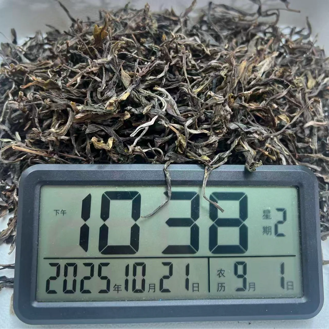 【助农】头春古树混采易武蟒蛇箐 2025年 普洱生散 0555-10月21日