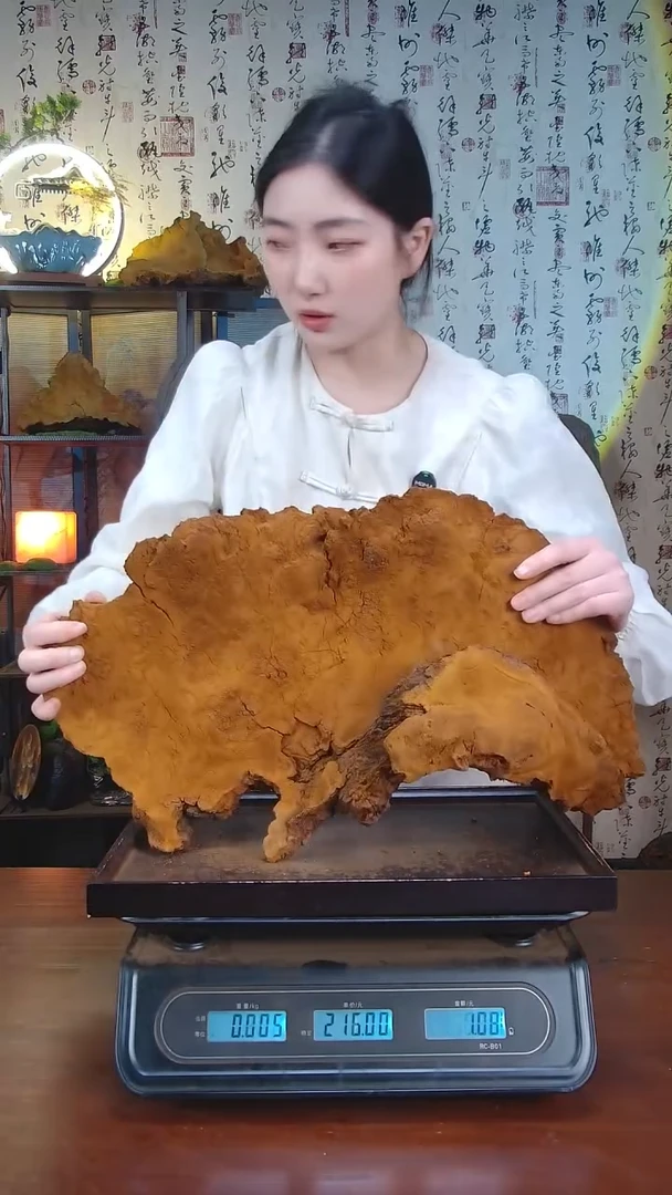 松针层孔菌中国大陆【藏区 野生】松树桑黄（5.71斤）60-70年份