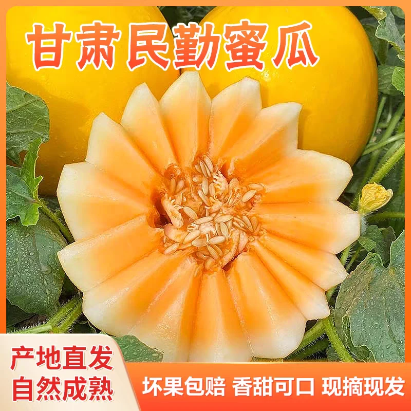 沙民勤金红宝黄河蜜瓜香甜多汁新鲜水果