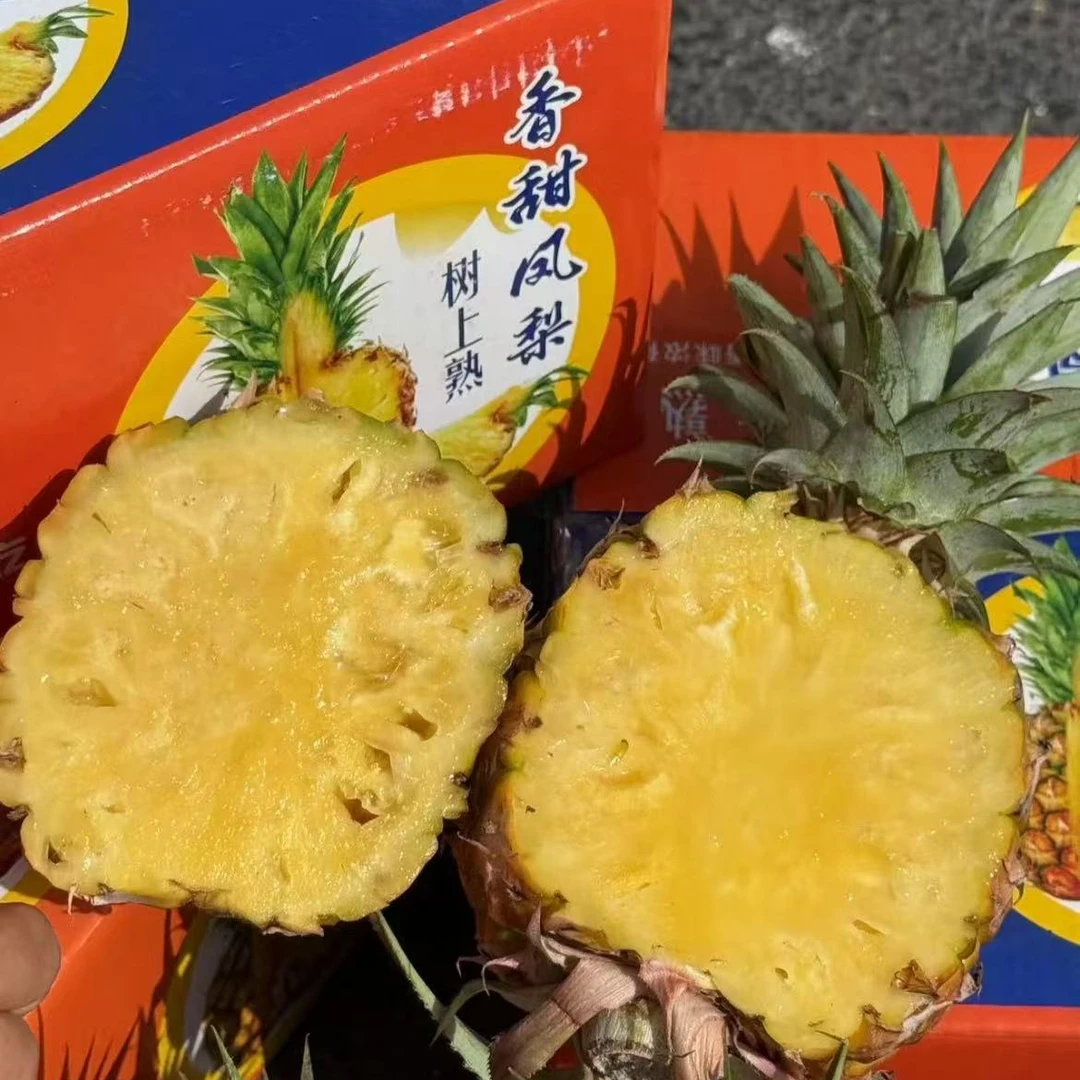 【顺丰包邮】“鸟爱吃”树熟凤梨，香甜多汁 毛重4斤左右（仅发南京）