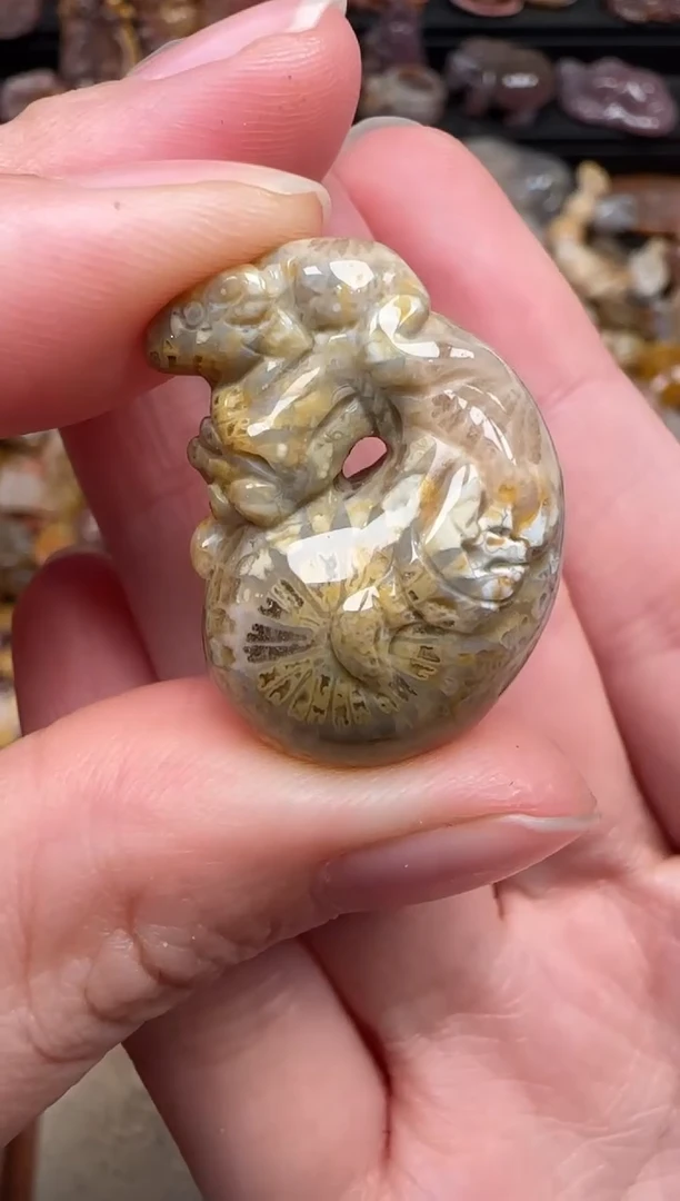 颈饰未镶嵌硅化珊瑚（珊瑚玉）823