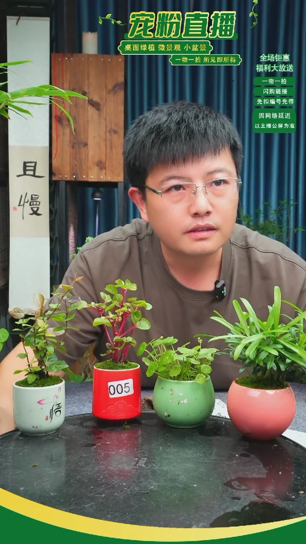 无花朵年*苔藓微景观005号