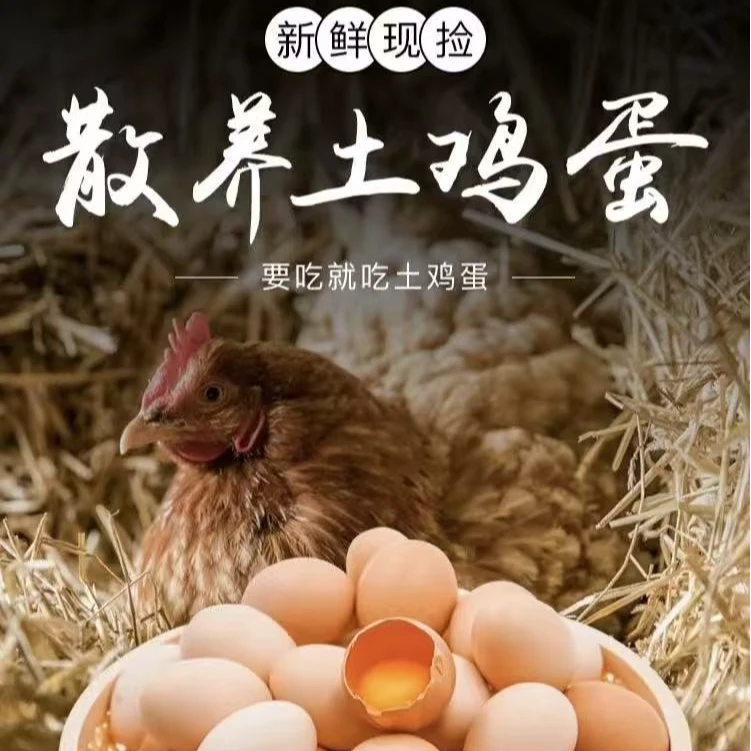 DM散养土鸡蛋 谷物喂养 蛋黄 黄色  50枚