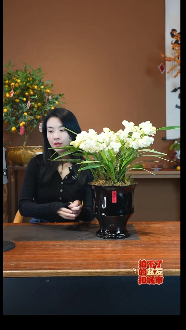 全部花朵玉兔钢琴漆盆