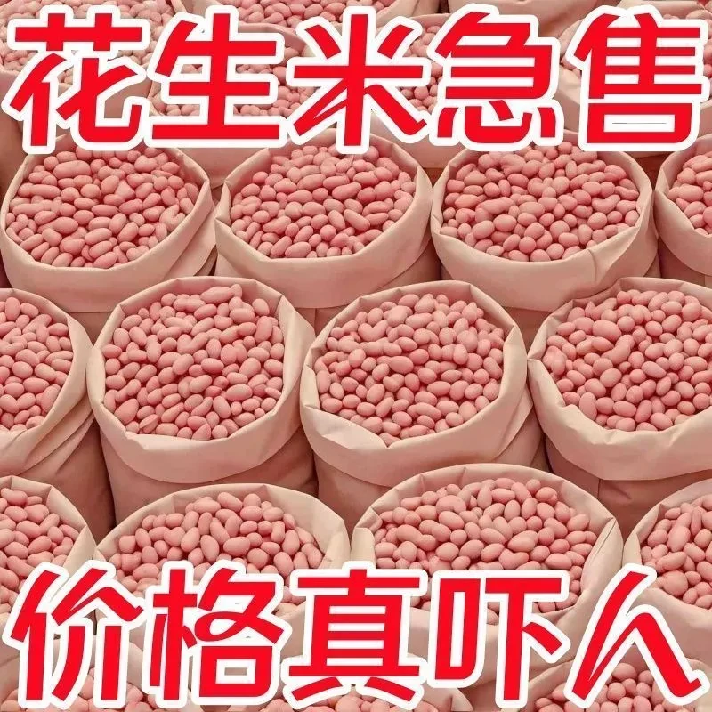 【批发价】新鲜花生米5斤大颗粒白沙农家生花生米散装新货花生仁5g