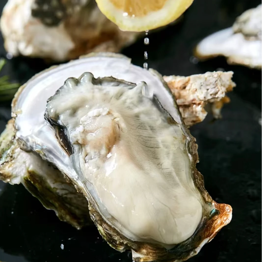 山东乳山生蚝3XL (拍三发六，共六斤）