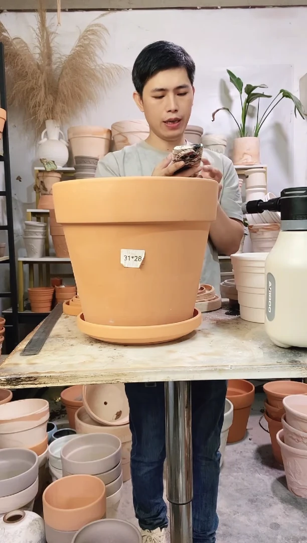 30*27红陶国际 1盆1托