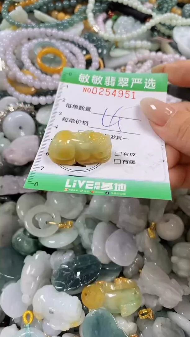 翡翠未镶嵌颈饰闪购0254951