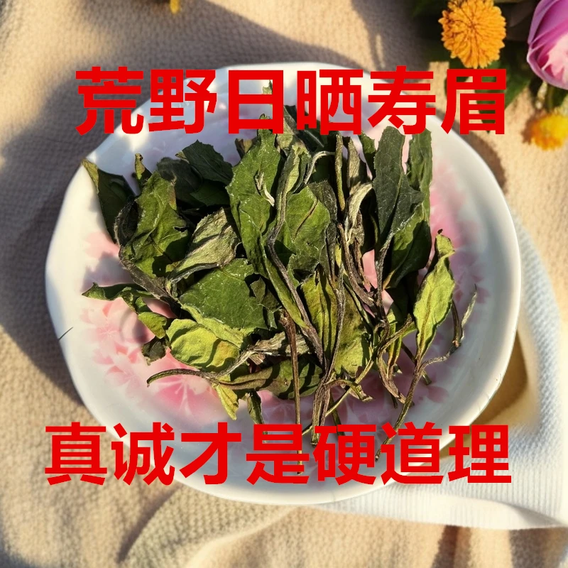 试喝 福鼎白茶南溪水库25年春茶荒野日晒寿眉（15~20年树龄）