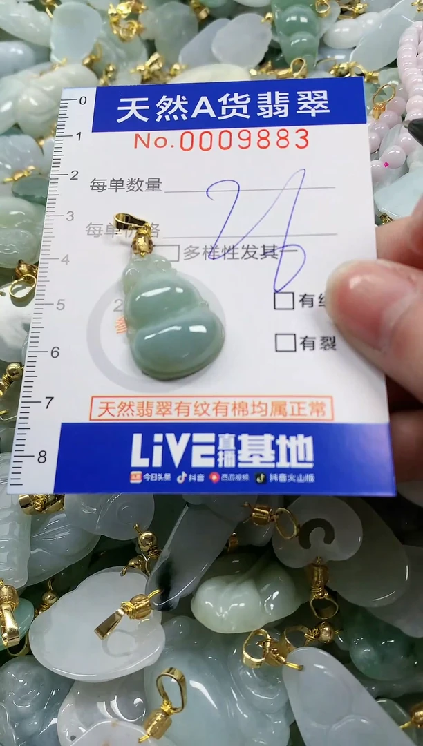 颈饰未镶嵌翡翠纯天然a货翡翠