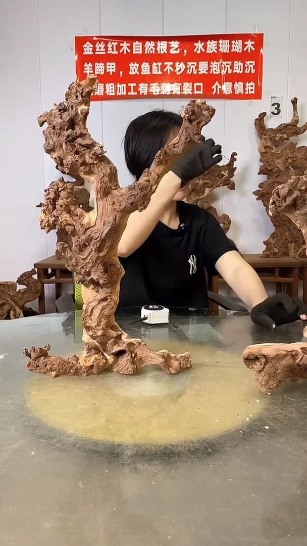 香榧木金丝红木  羊蹄甲