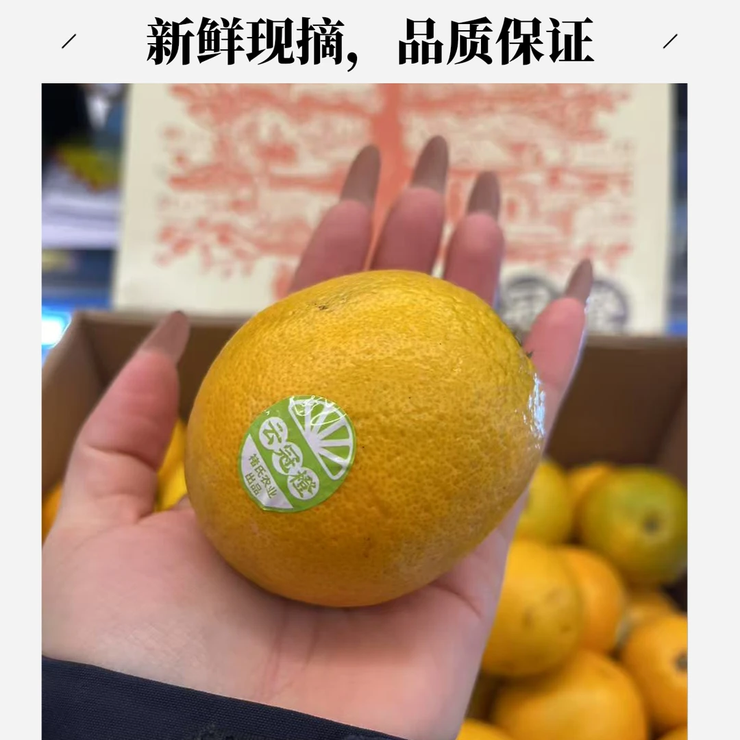 云冠橙  时令鲜采 无打蜡
