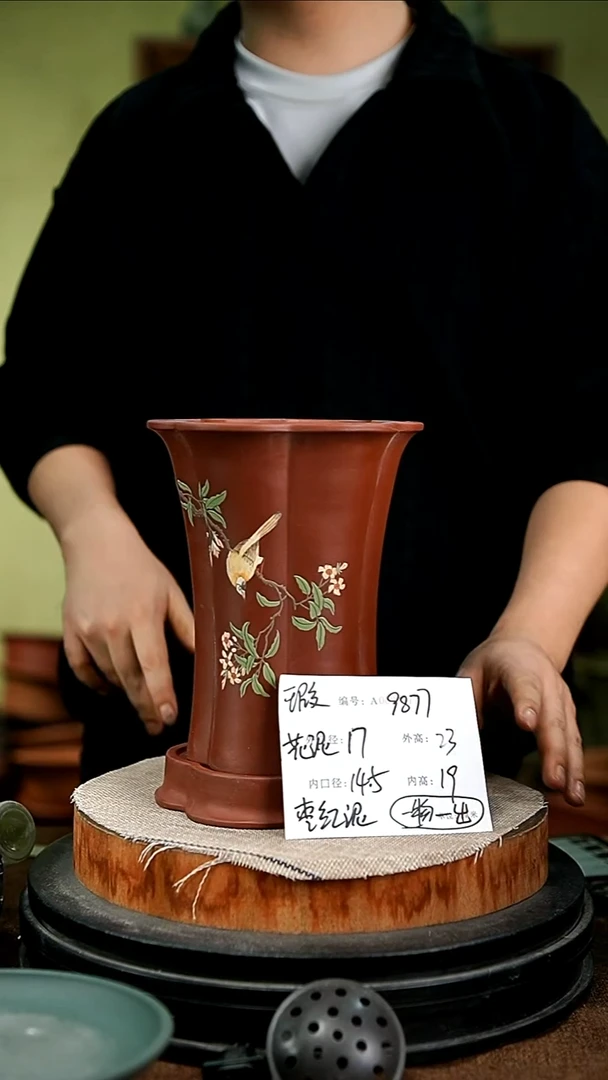 紫砂花盆花卉园艺9877+z瑕