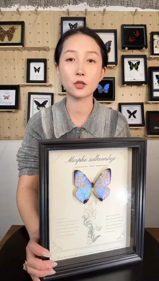 夜明珠闪蝶蝴蝶装饰画A4框