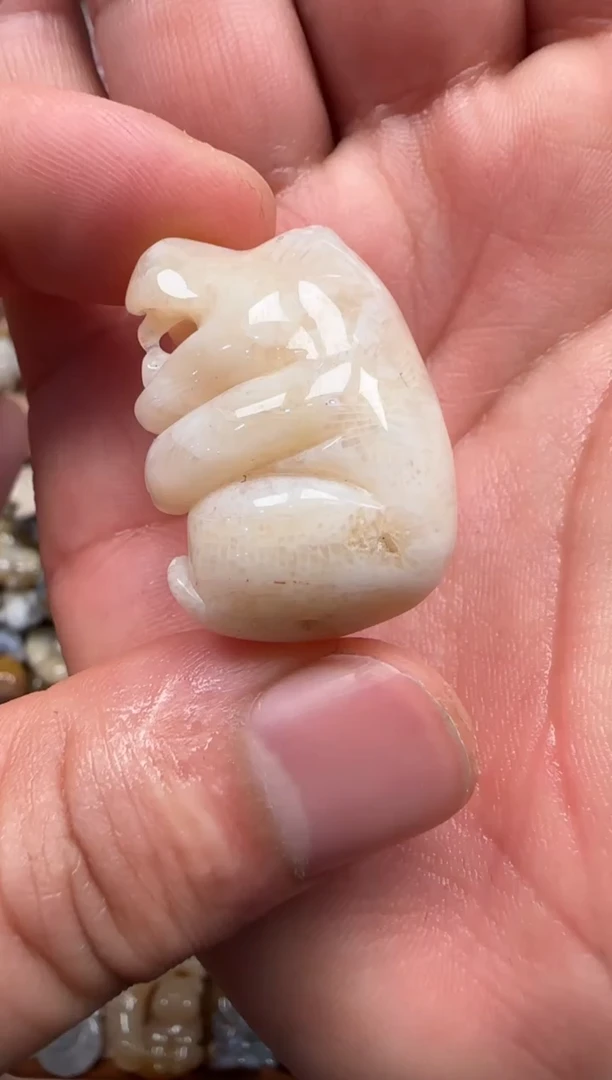 【闪购商品】硅化珊瑚（珊瑚玉）颈饰未镶嵌565