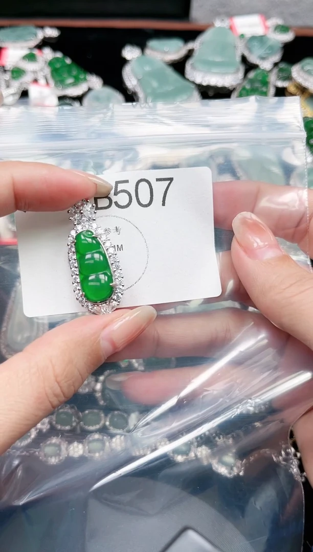 【闪购商品】翡翠颈饰未镶嵌赠皮绳507