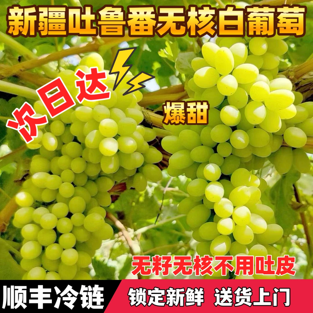 【次日达顺丰冷链】新疆吐鲁番无核白葡萄玻璃脆小蜜蜂新鲜应季水果新疆维吾尔自治区
