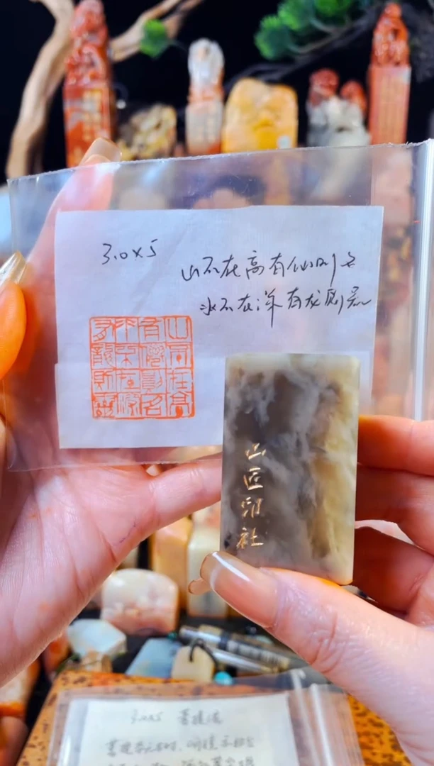 巴林石印石手工篆刻《山不在高有龙则灵》3.0