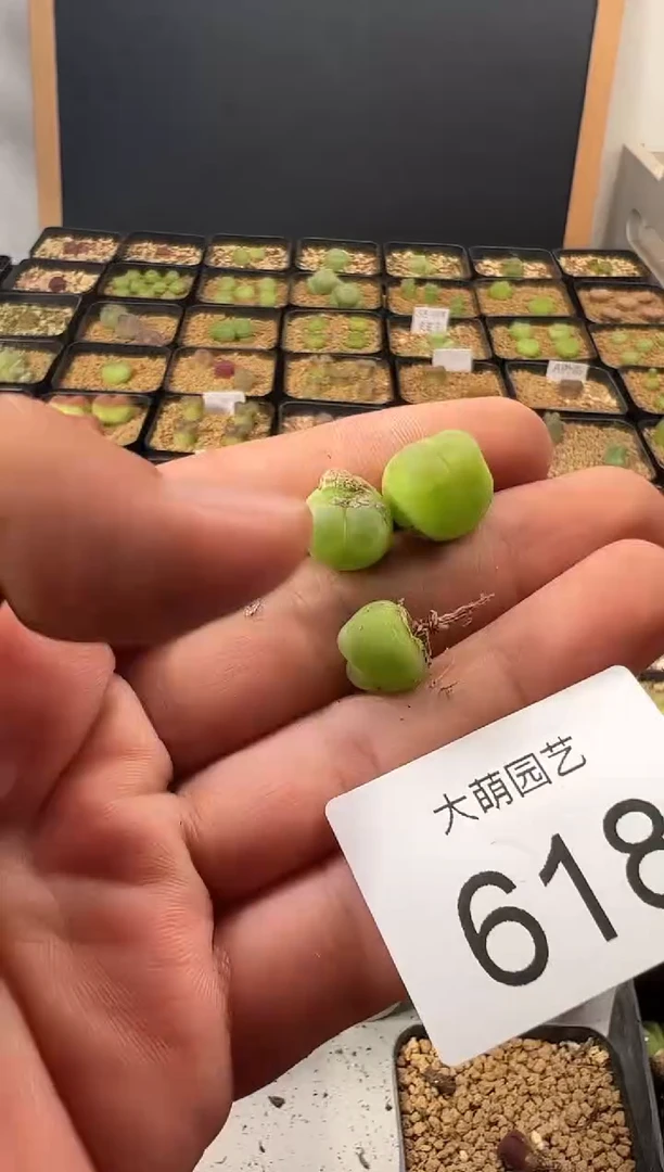 ++++++++618微瑕无售后