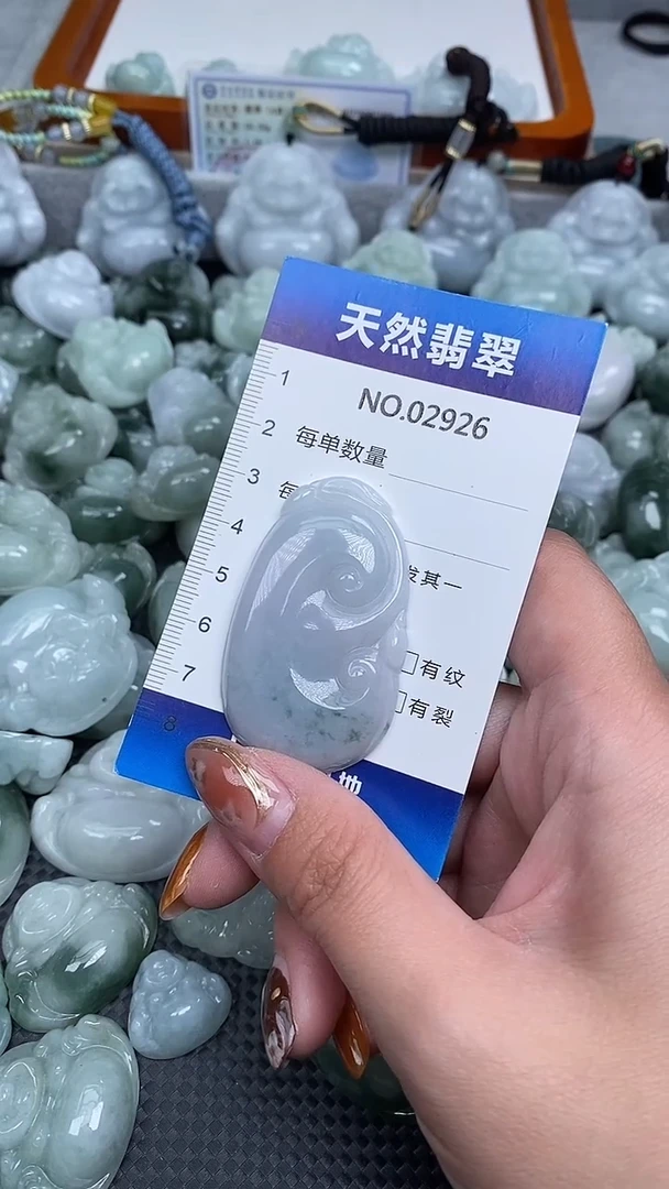 颈饰未镶嵌翡翠纯天然A货翡翠2926