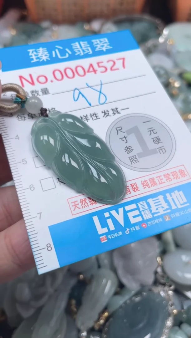 颈饰未镶嵌翡翠4527