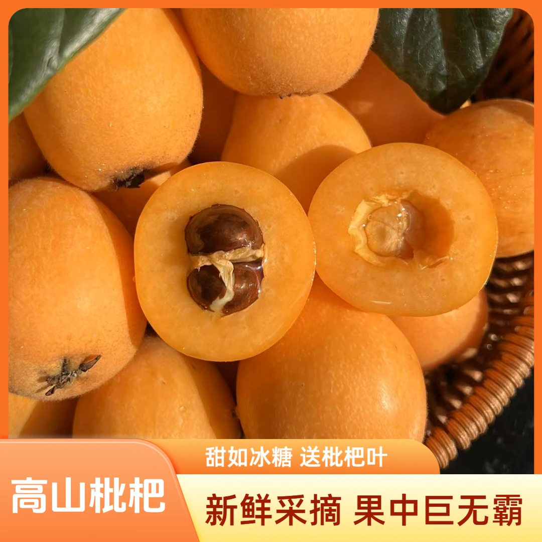 【巨无霸】四川宝兴高山晚熟枇杷 套袋枇杷 特甜 皮薄肉厚 香甜多汁