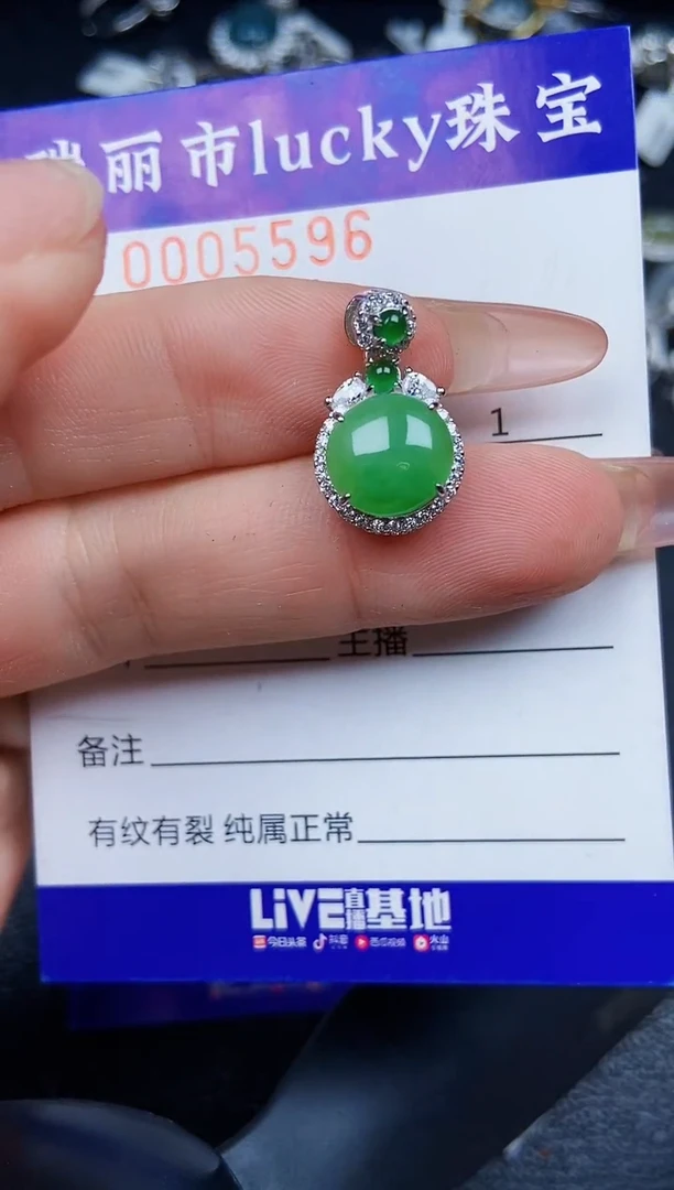 翡翠银S925镶嵌颈饰5596