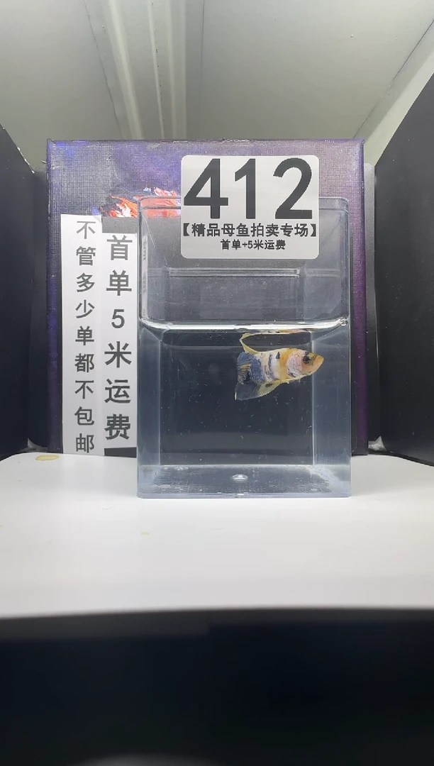 斗鱼母鱼编号：412