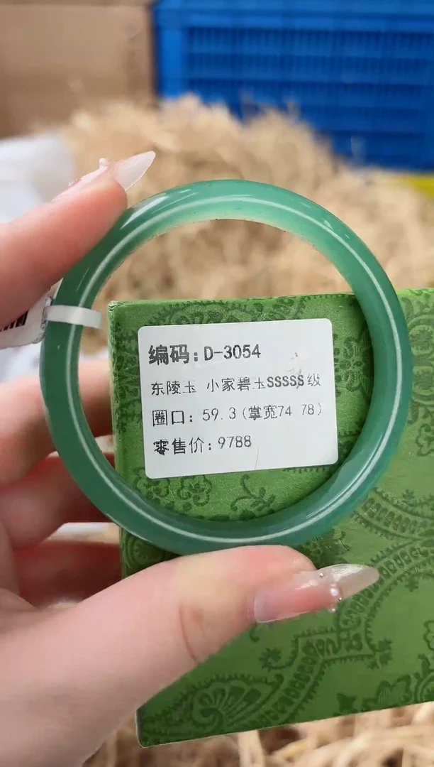 未镶嵌手镯石英质玉D-3054