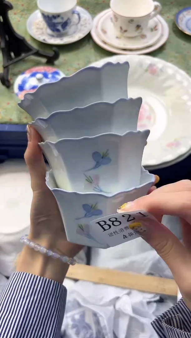 【闪购商品】瓷片          B821