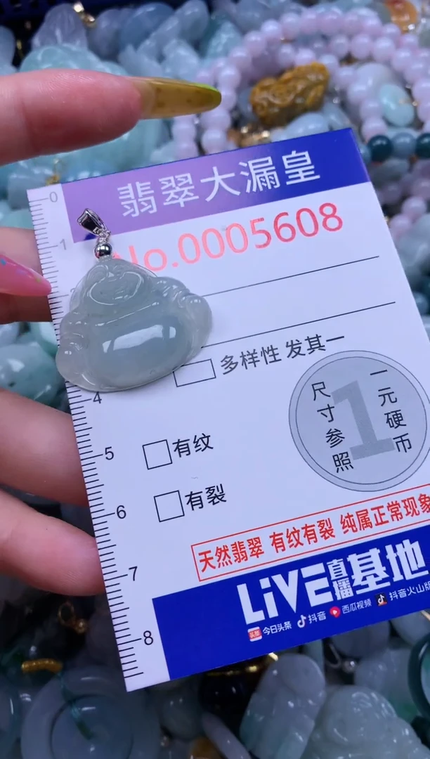 翡翠未镶嵌吊坠(不含链)5608