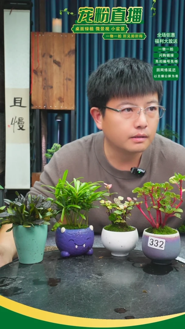 无花朵宝*苔藓微景观332号