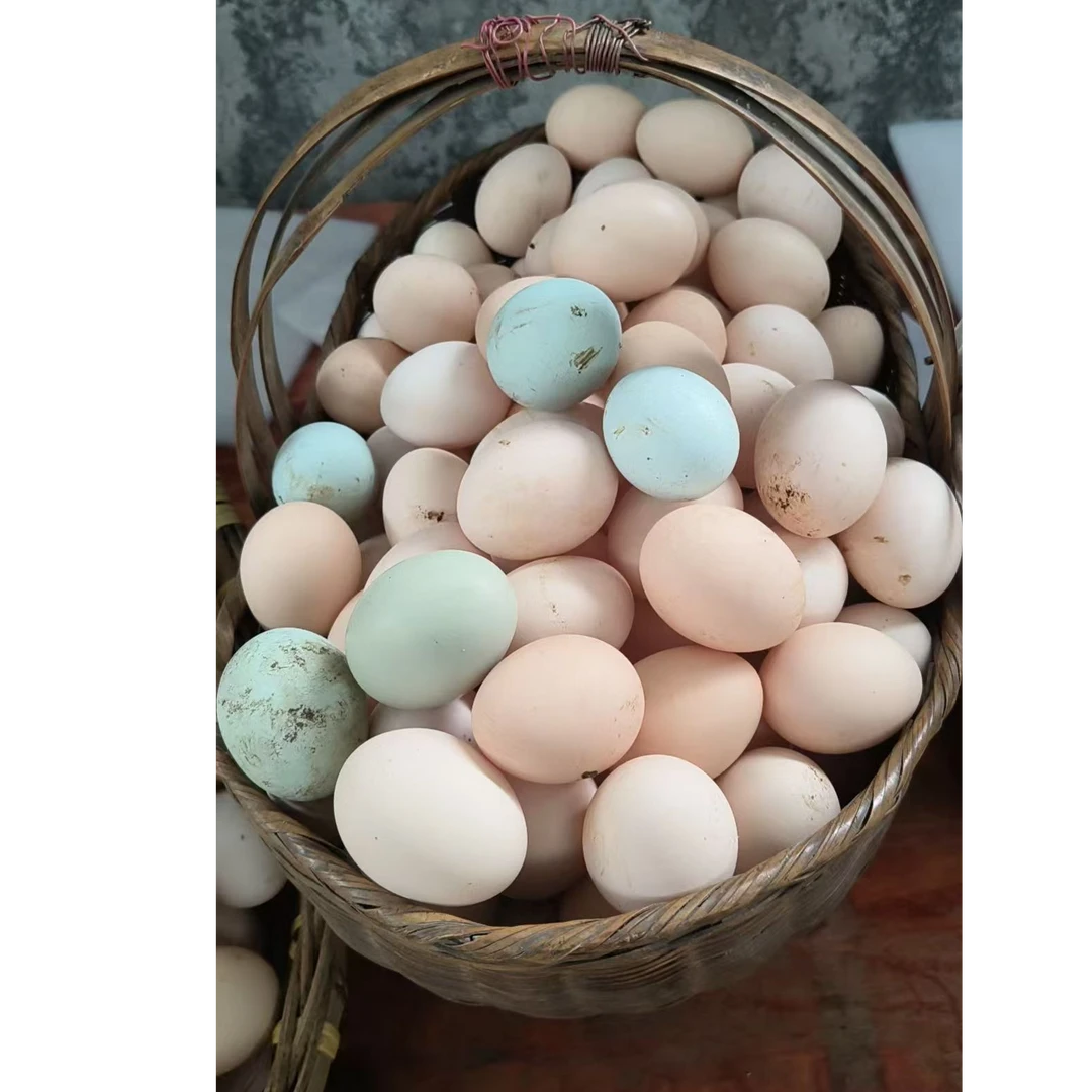 正宗农家放养土鸡蛋【顺丰包邮】
