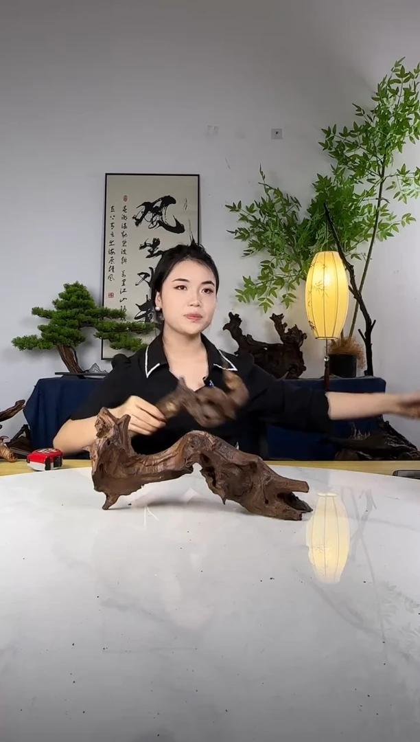 渡拍这个定向编号95